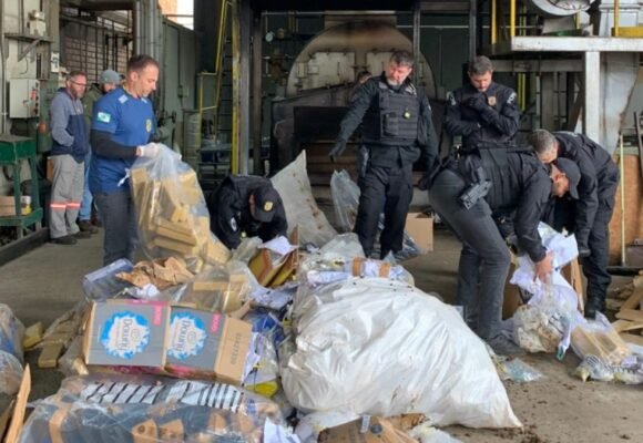 Polícia Civil incinera mais de 800 kg de drogas apreendidas nos Campos Gerais em ação da 13ª SDP em Ponta Grossa
